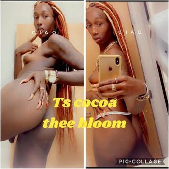 3369156385, transgender escort, Charlotte