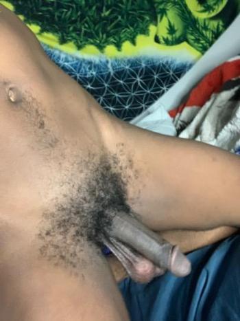 9196040294, transgender escort, Charlotte