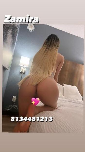 8134481213, transgender escort, Charlotte